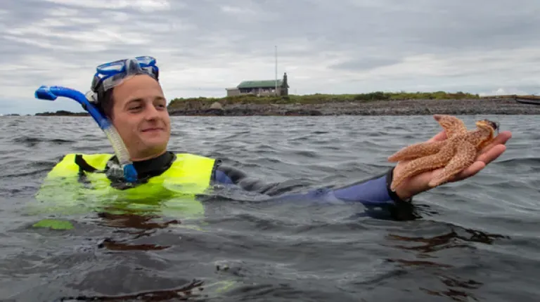 A student snorkeling and holding up a starfish